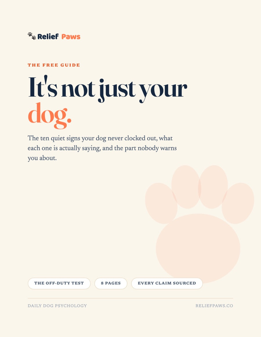 Cover of the free ReliefPaws guide, It's not just your dog.